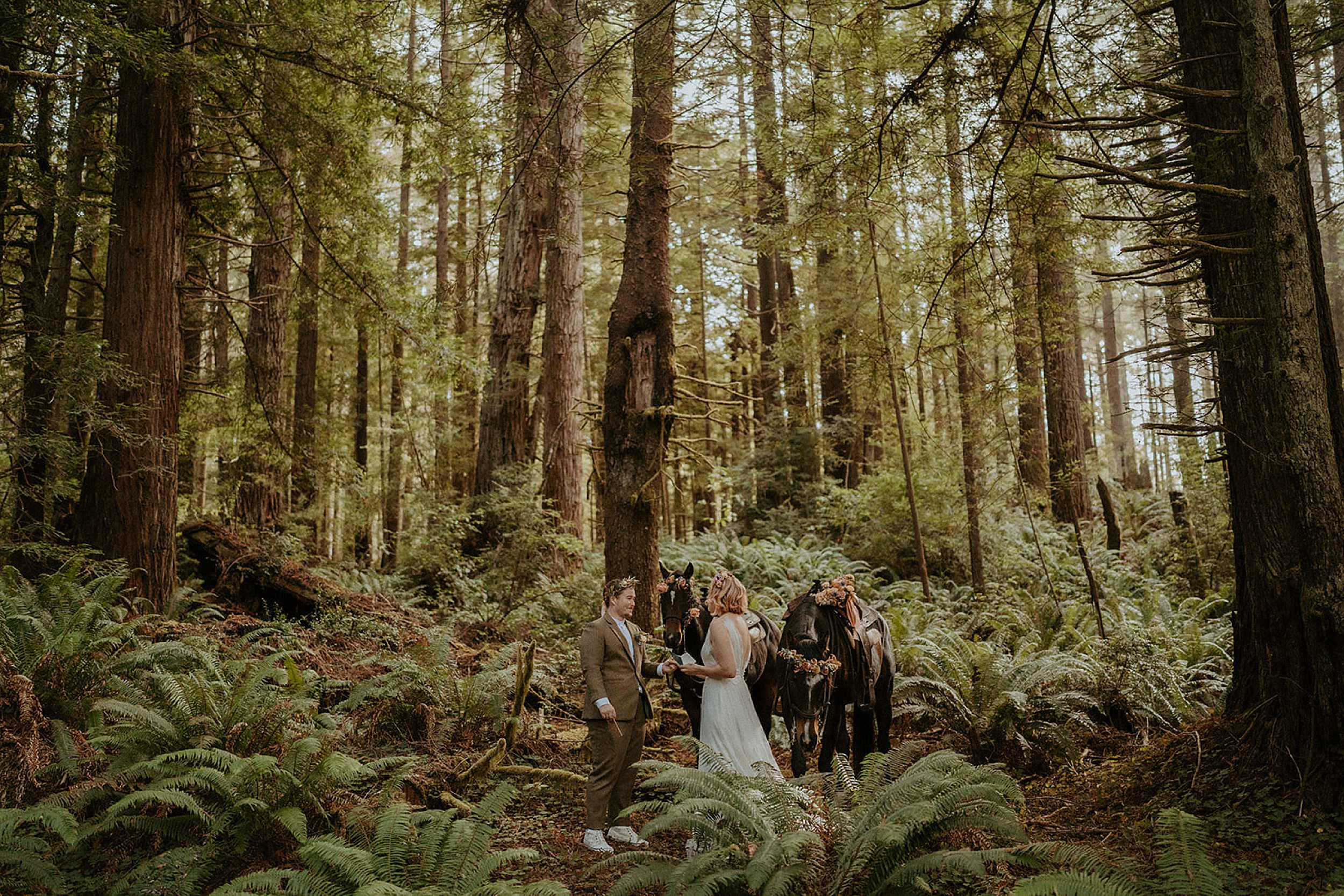 redwoods wedding